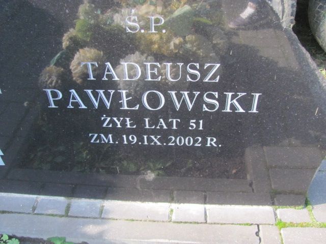 Tadeusz Pawłowski 1951 Jasieniec - Grobonet - Wyszukiwarka osób pochowanych